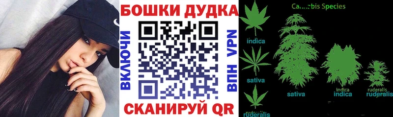 Купить наркотики Рыльск ГАШ  КОКАИН  A PVP  Бошки Шишки  МЕТАМФЕТАМИН  Меф мяу мяу 