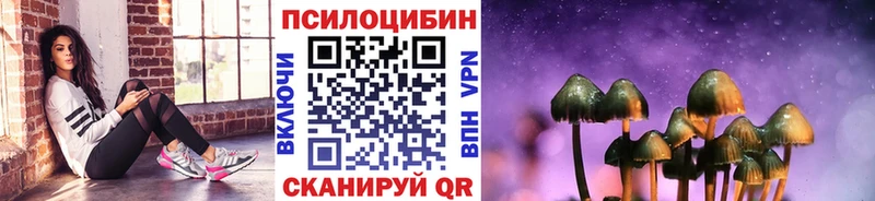 купить   Рыльск  Псилоцибиновые грибы GOLDEN TEACHER 